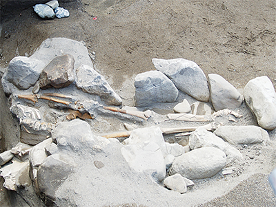 古墳時代の人骨発見