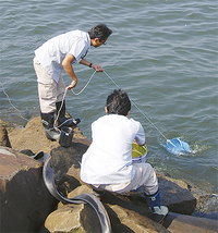 放射能濃度測定のため海水を採水する市職員