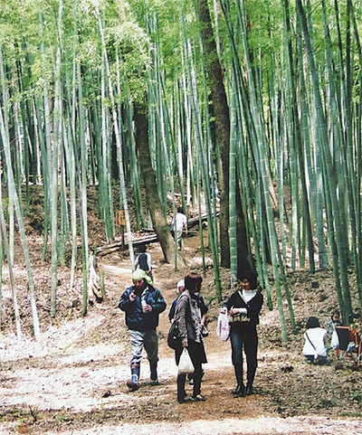 遠藤健康の森で竹炭祭