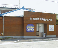 レントゲンや手術室も備える同院