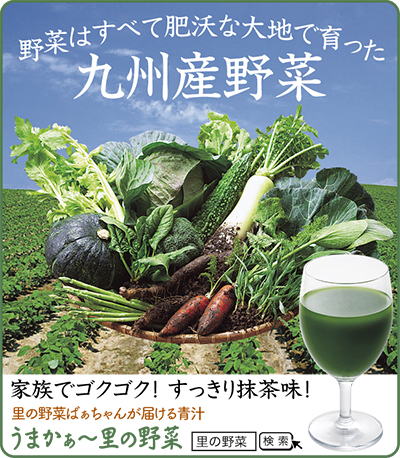 九州産野菜15種が青汁に