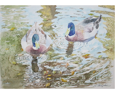 絵画「薄氷の朝の鴨」　水彩画 小さな白鳥 – アートワーク手描きの水彩画、紙に - ショップ Arina