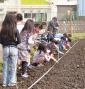 休耕田を花の広場に
