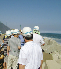 海岸を視察した参加者