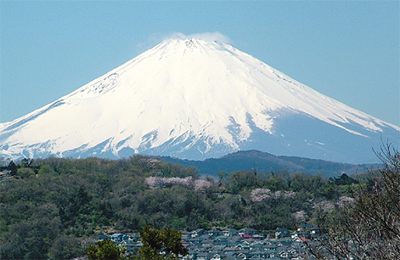 初春に望む富士山