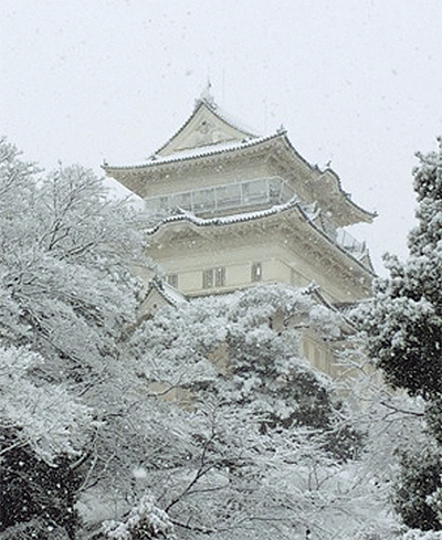 小田原城も雪化粧
