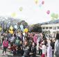 はるかのひまわり青空へ