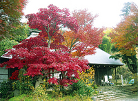 紅葉に彩られた緑水庵