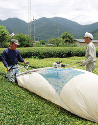 秦野のみが基準値以下だった