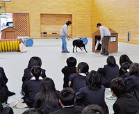 訓練の様子を見る生徒たち
