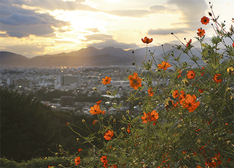 弘法山の車道から眺める夕焼け空と秦野市街地