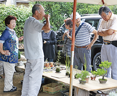 堀山下在住辻憲昌さん 器から作り上げる盆栽 個展に300人が来場
