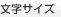 文字サイズ