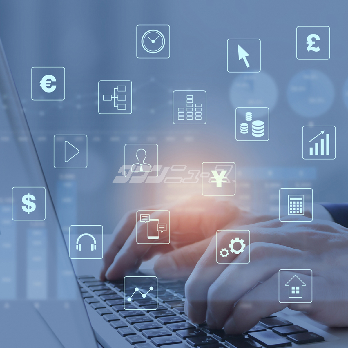 年に１度のスペシャル市場