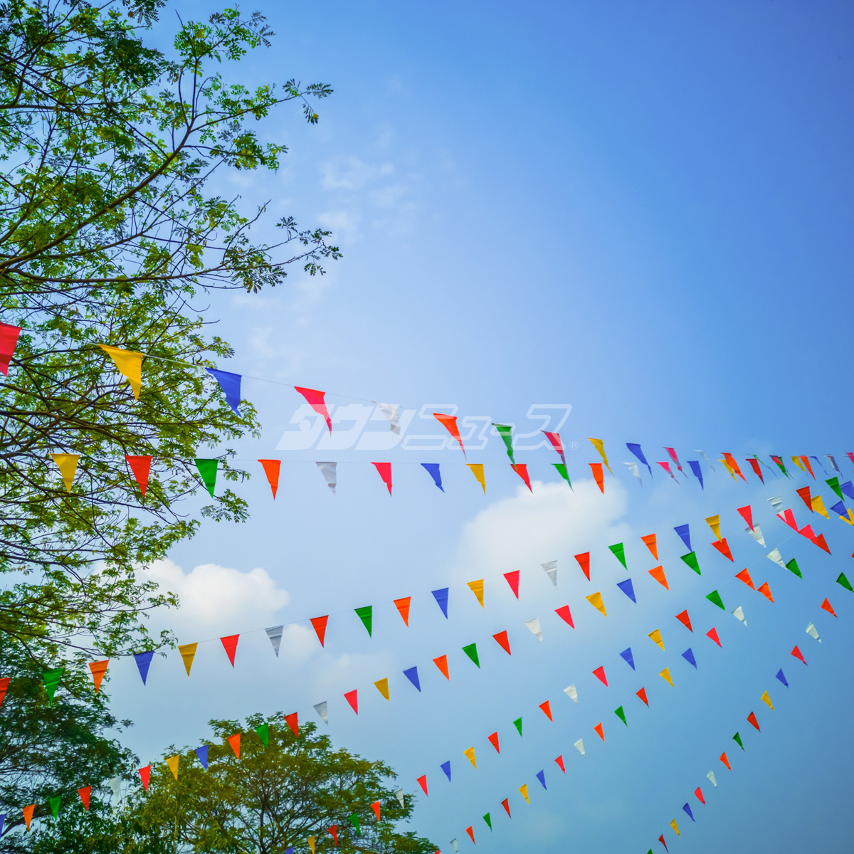 ｢アートピザ｣を作ろう