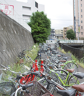 早渕川沿いに並ぶ１００台以上の違法駐輪車両