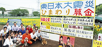 約１万本が咲き誇る、中恩田橋交差点近くのひまわり畑。「８月中旬頃までが見頃ごろかな」と田中さん（前列右から３番目）