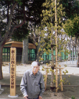 山百合会（飯島代表）が正門近くに寄贈した記念樹と標柱