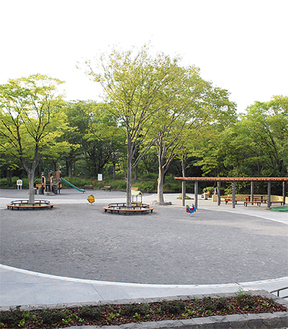 視界が開け、広くなった鴨志田公園内の広場