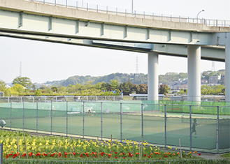 青葉スポーツ広場のテニスコート