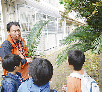 植物観察ツアーに参加する児童たち