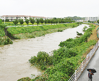 大雨で増水する鶴見川