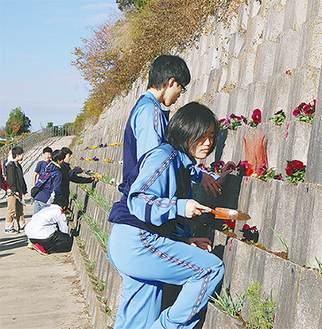 護岸に花を植える学生達