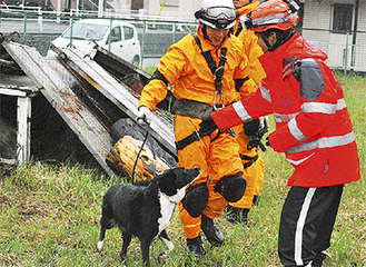 災害救助犬と訓練する署員（中央）