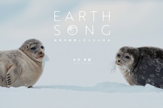 北極などで撮影した40点を展示