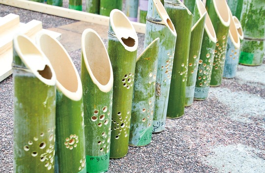 完成した竹灯籠