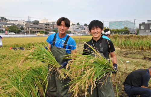 収穫した稲を手にする前田選手（左）