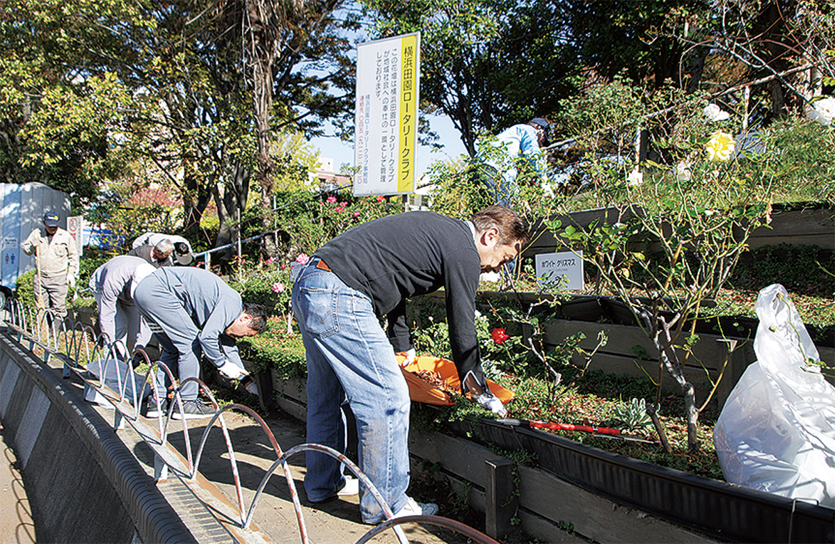 駅前公園のバラを手入れ