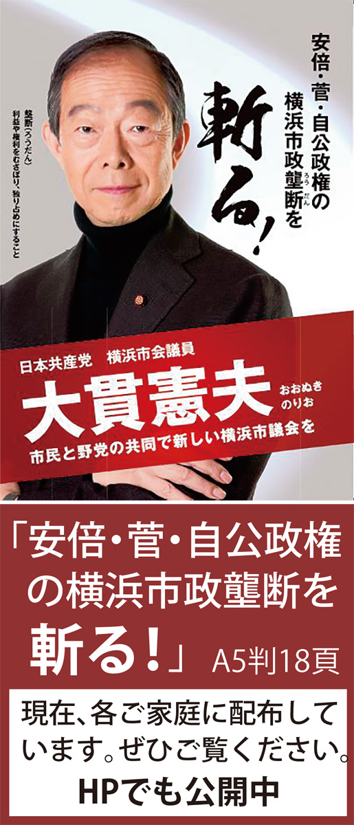 横浜市政がよく分かる小冊子を作りました (写真2)