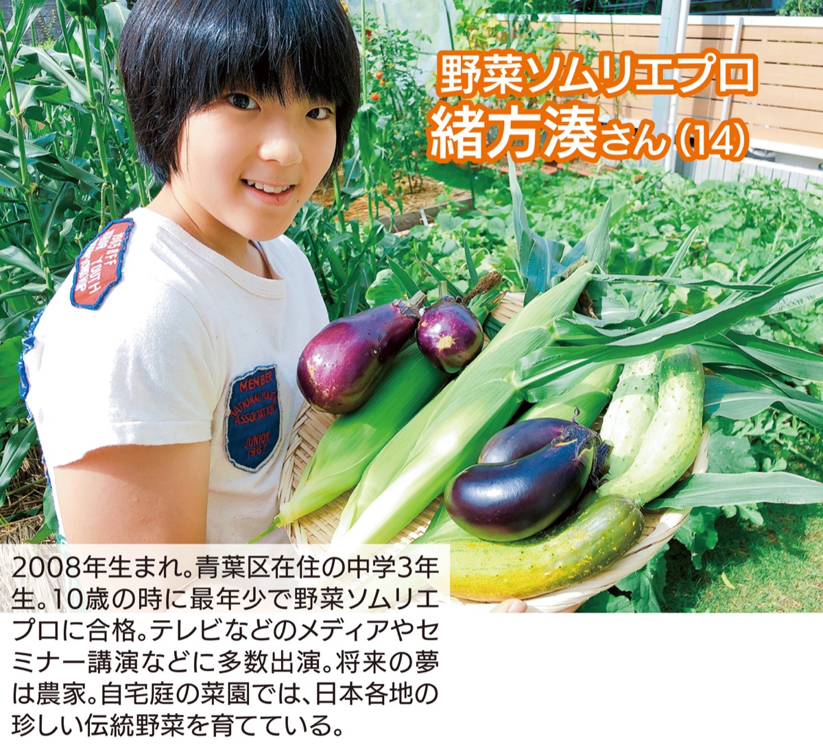 家庭菜園のススメ (写真1)
