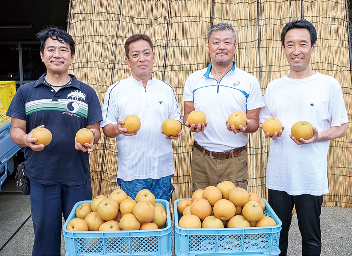 規格外の浜なしでワイン