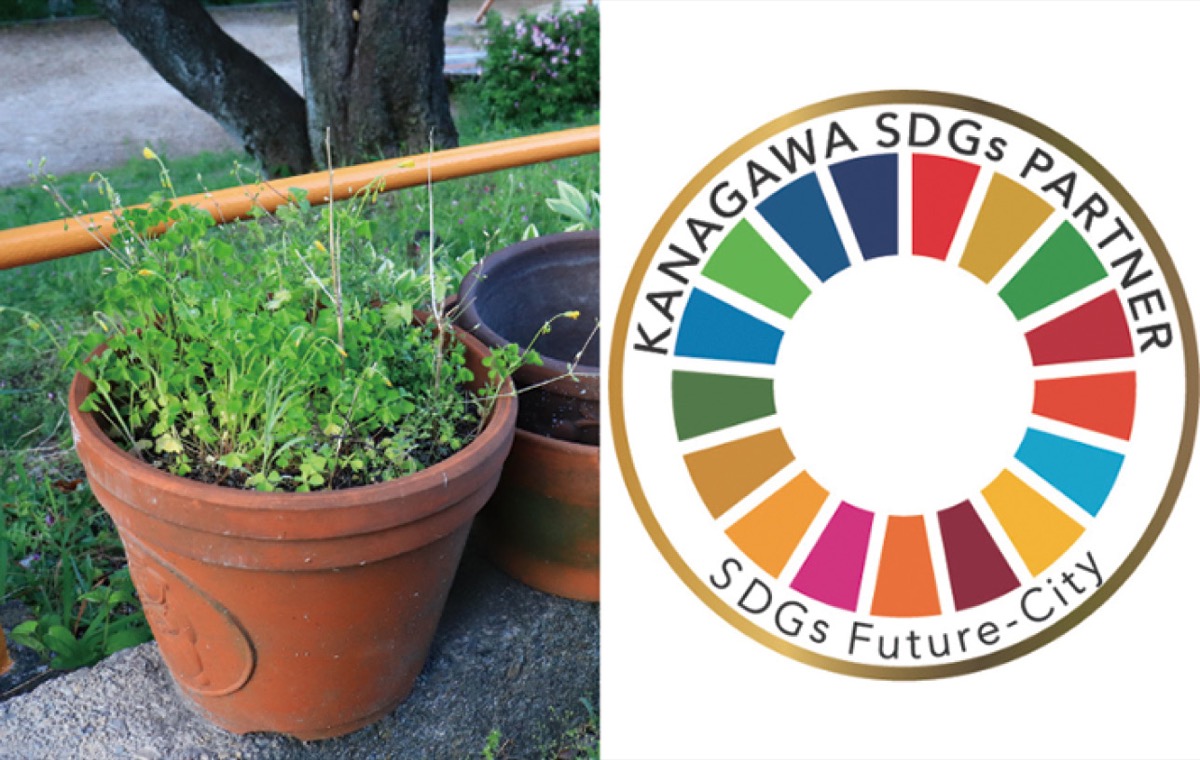 ｢その植物、捨てちゃうんですか？｣