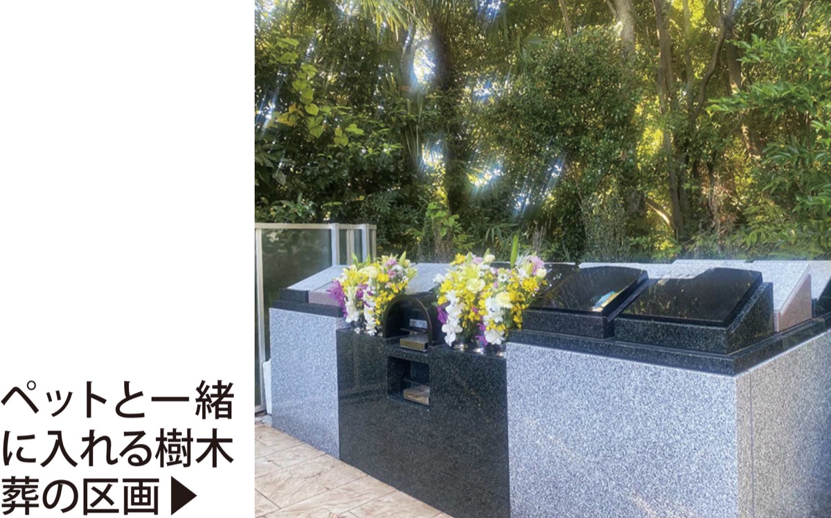 青葉区に待望の｢樹木葬｣安らぎの空間で温かな供養を (写真3)