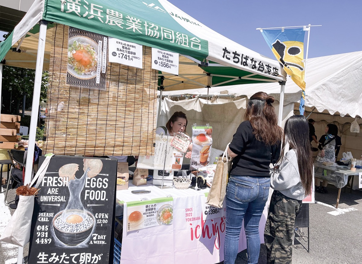 新鮮な卵を購入する親子