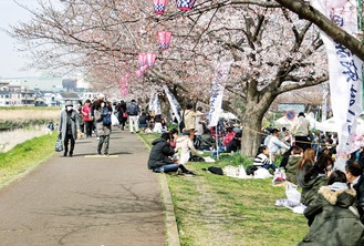 桜を楽しむ来場者（鴨居連合自治会提供、写真は２０１９年）