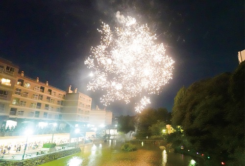 池の上空に舞い上がった花火
