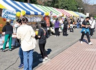 ｢秋桜祭｣心に残る一日に