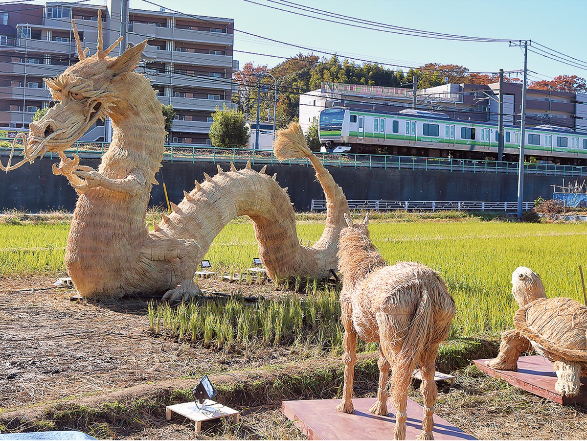 田んぼに巨大なわらアート作品が並ぶ