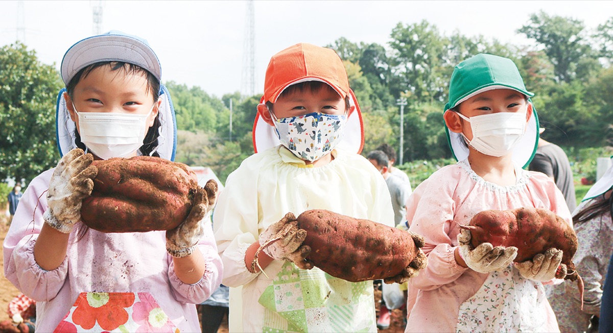 「大きいお芋が採れた」 (写真1)
