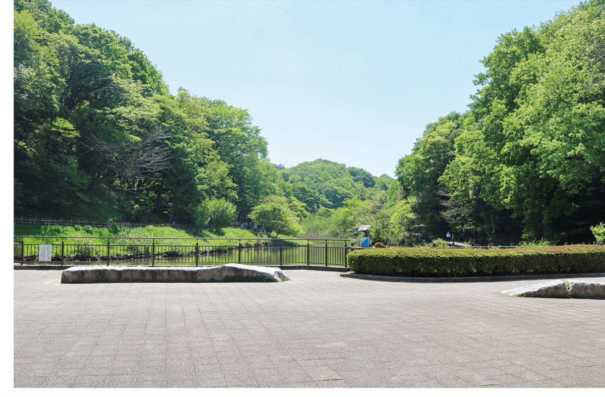 多くの緑が残る四季の森公園