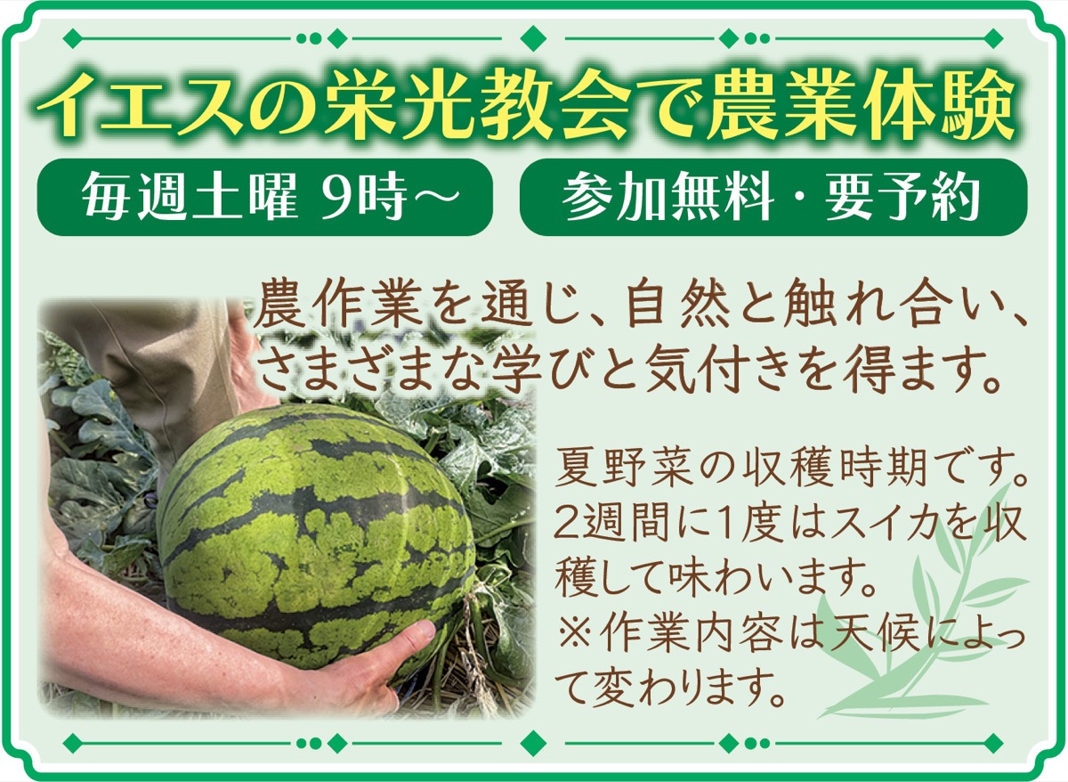 教会でチェロの調べ (写真2)