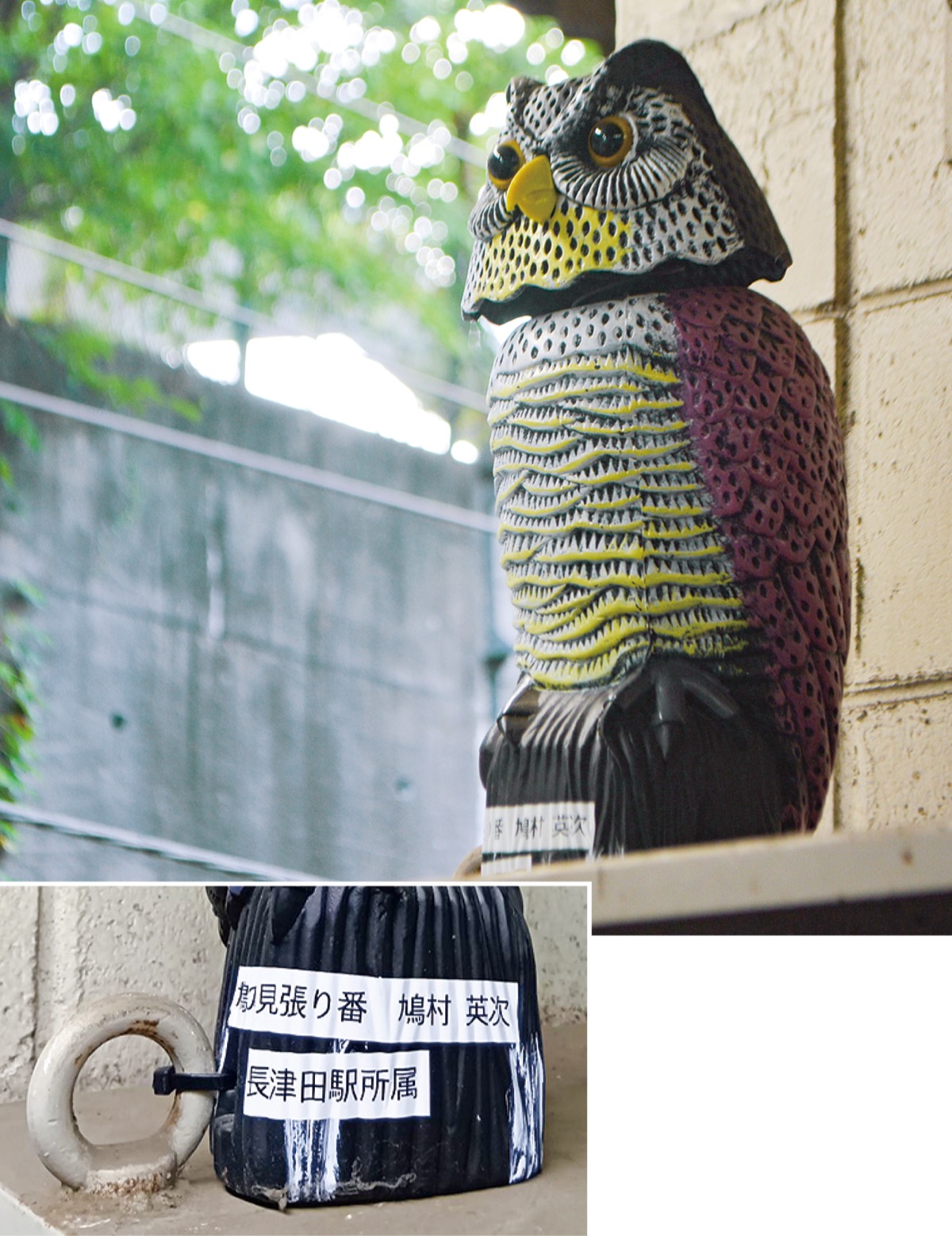 「鳩村英次」の任務とは