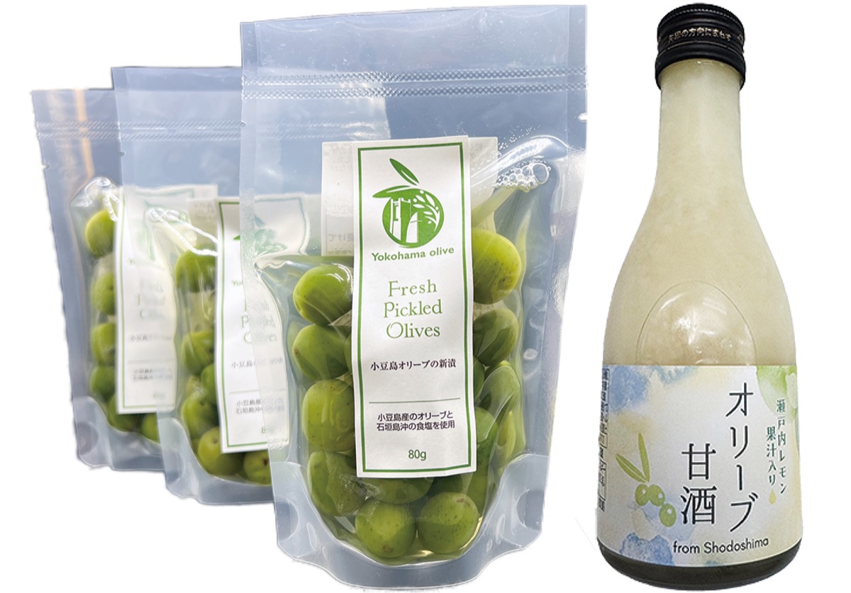 発酵×オリーブをお試しあれ