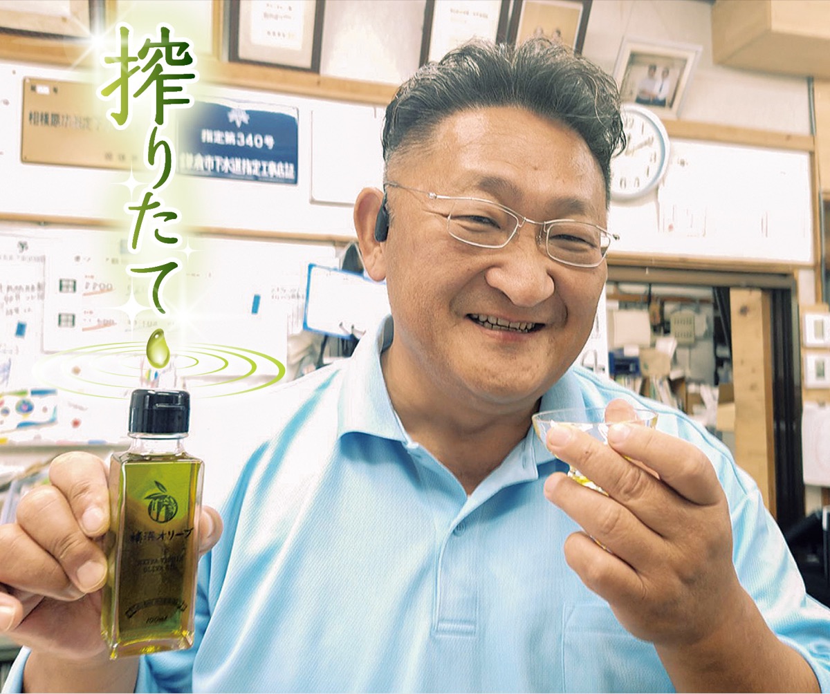 限定オリーブオイル完成