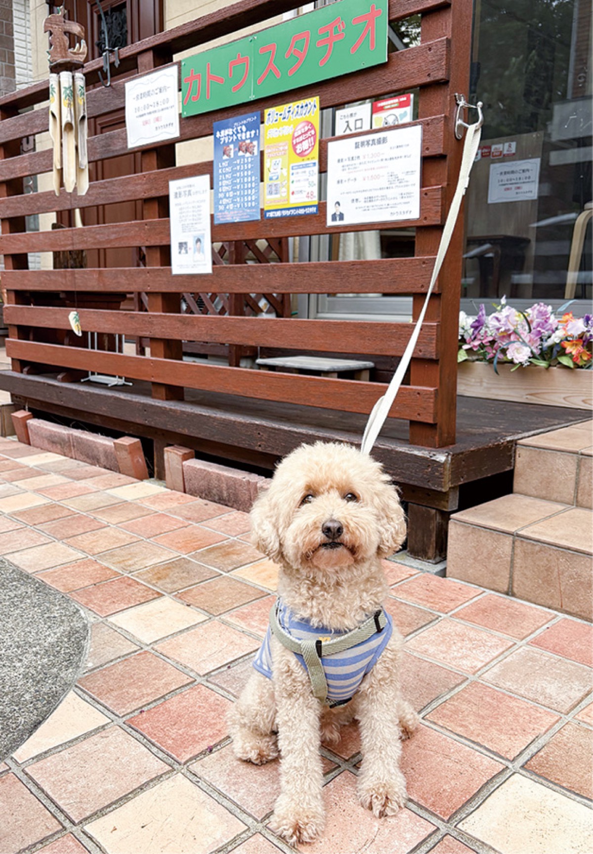 ｢まちの写真屋｣が移転
