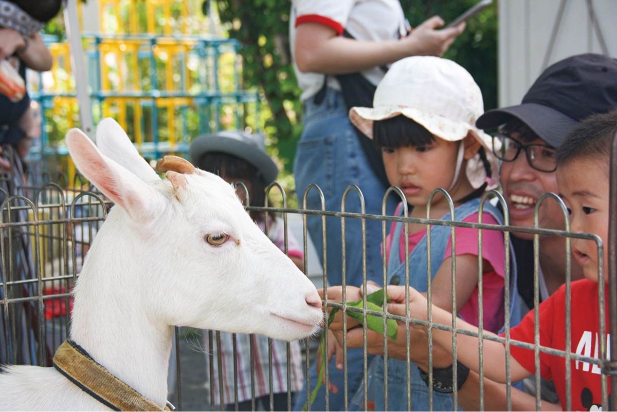 移動動物園で地域貢献